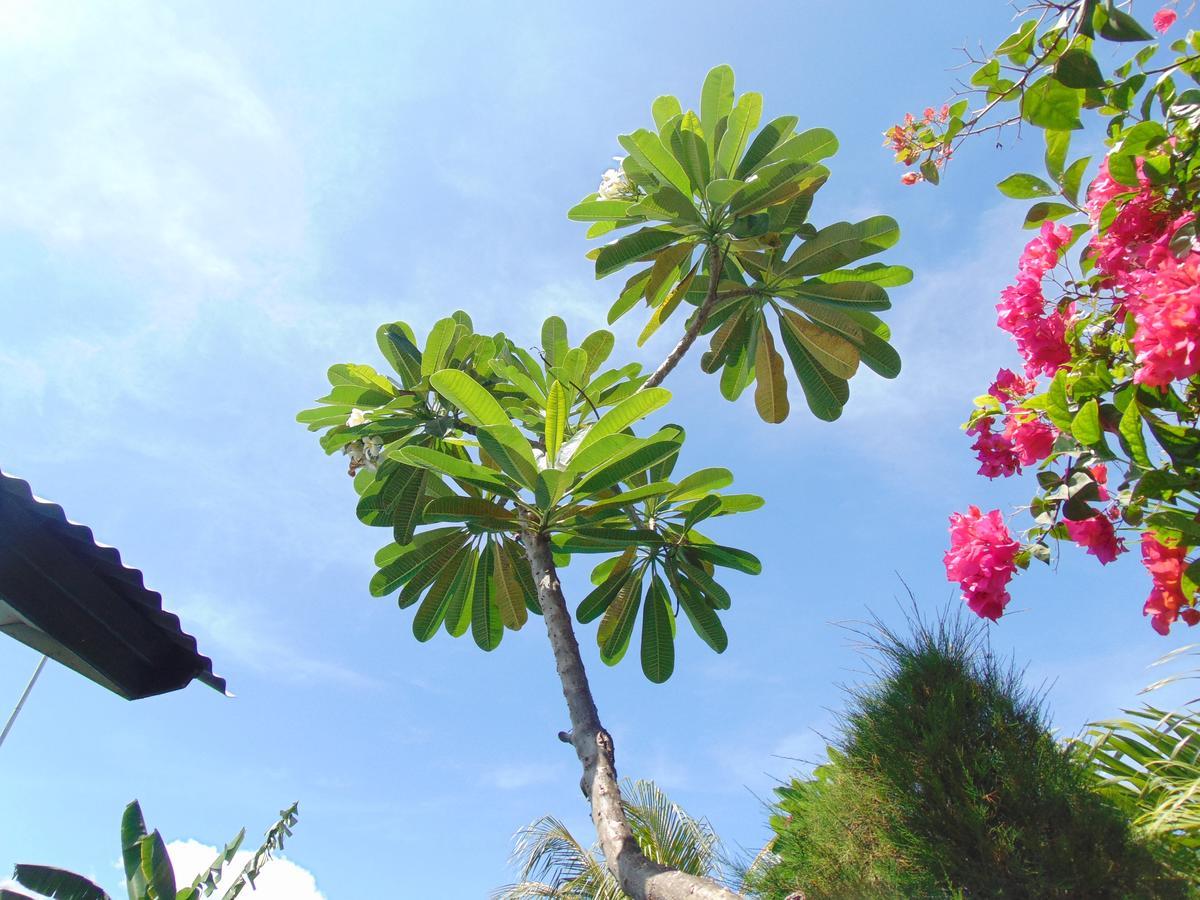 Sister Bungalow Otel Gili Air Dış mekan fotoğraf